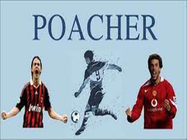 Poacher là gì? Đặc điểm của tiền đạo cắm trong bóng đá